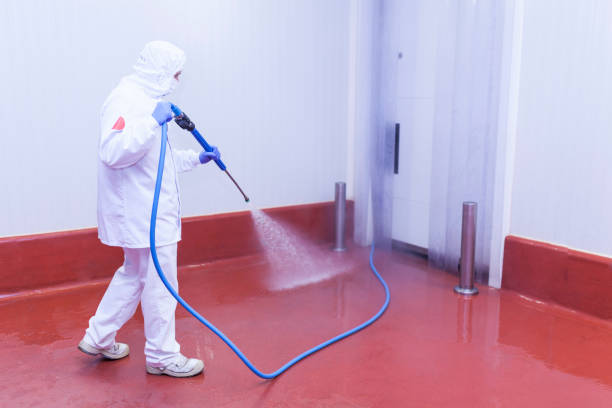 Pre-Holiday Cleaning in Walcott, IA